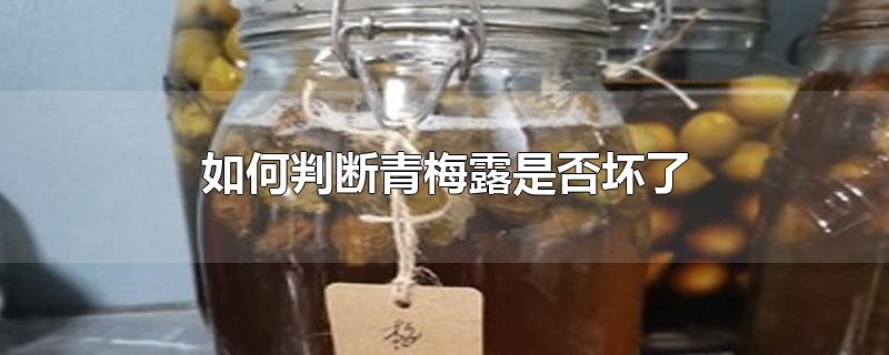 如何判断青梅露是否坏了