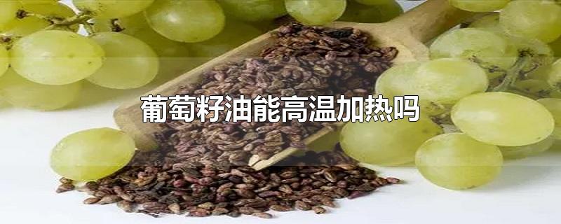 葡萄籽油能高温加热吗