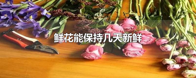 鲜花能保持几天新鲜