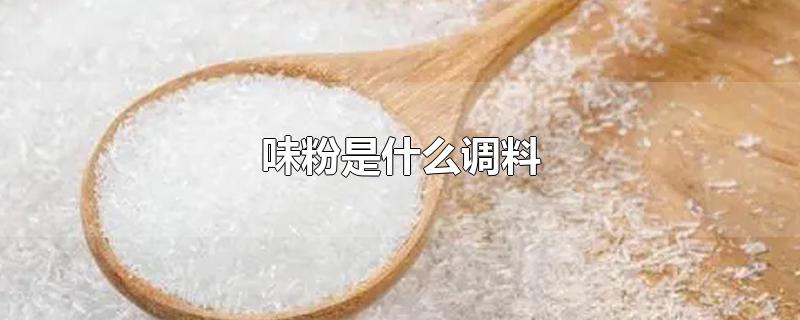 味粉是什么调料