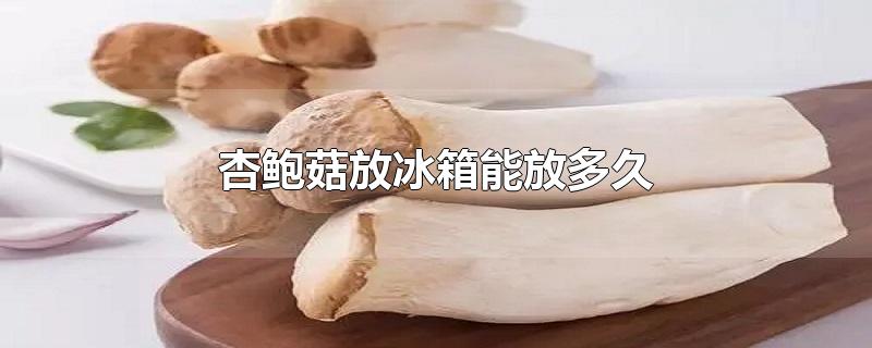 杏鲍菇放冰箱能放多久