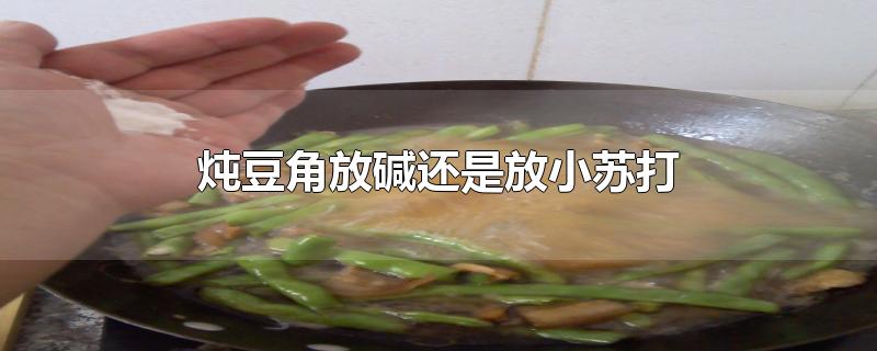 炖豆角放碱还是放小苏打