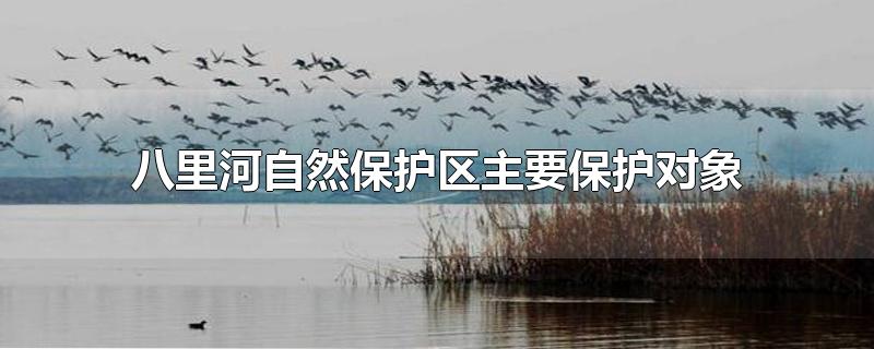 八里河自然保护区主要保护对象