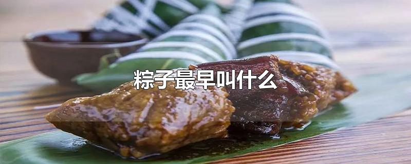 粽子最早叫什么