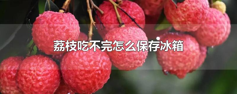 荔枝吃不完怎么保存冰箱