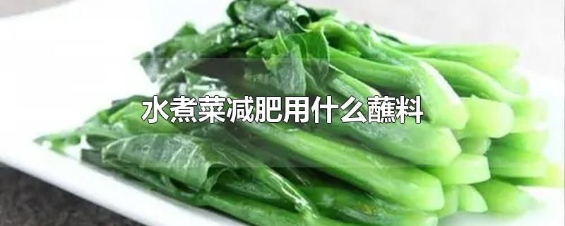 水煮菜减肥用什么蘸料