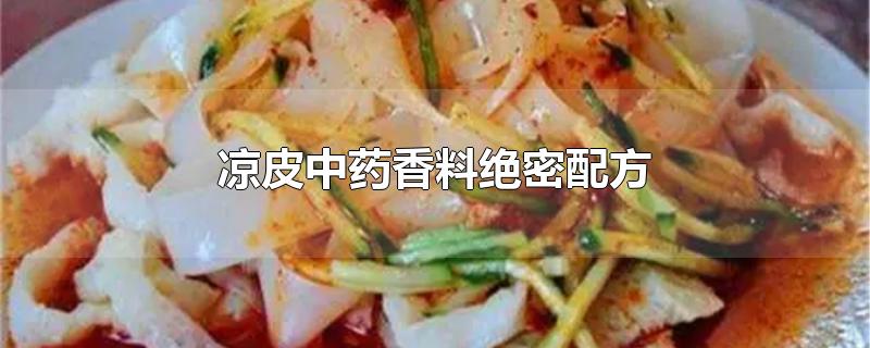 凉皮中药香料绝密配方