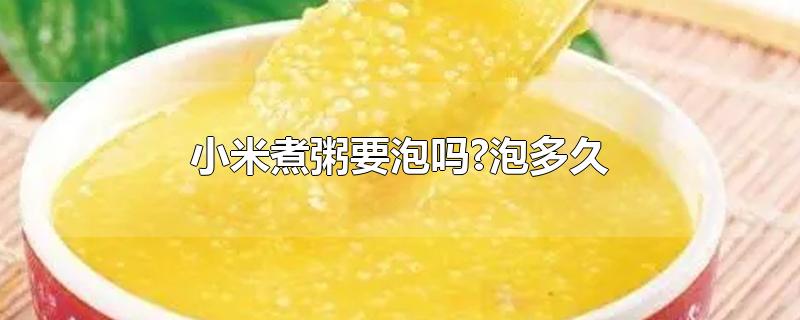 小米煮粥要泡吗?泡多久