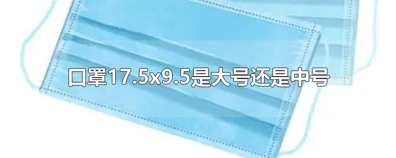 口罩17.5x9.5是大号还是中号