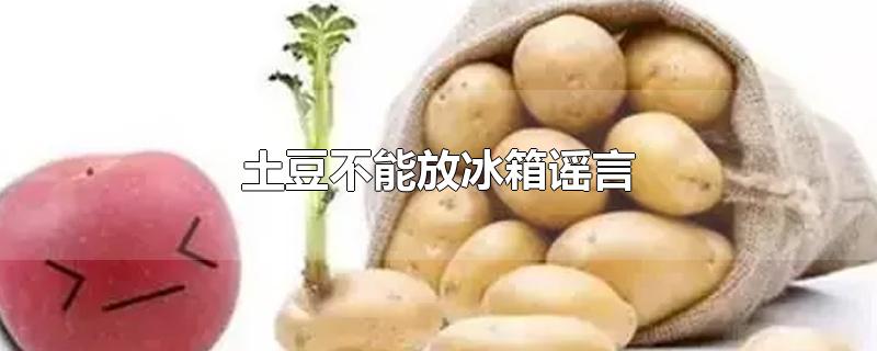 土豆不能放冰箱谣言