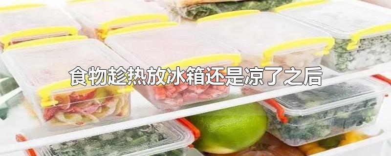 食物趁热放冰箱还是凉了之后