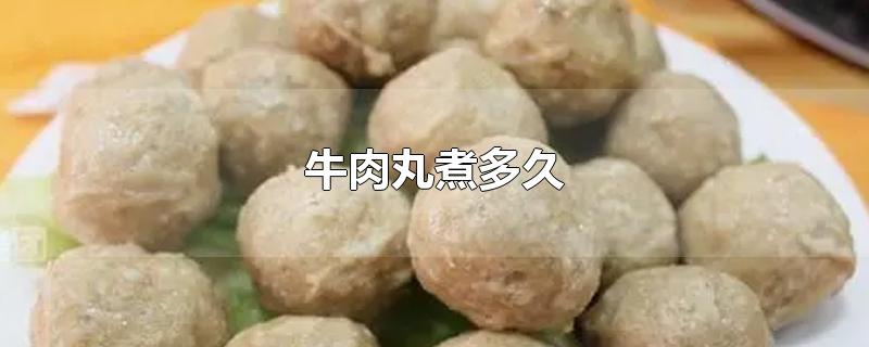 牛肉丸煮多久