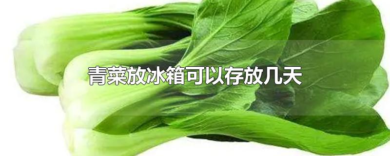 青菜放冰箱可以存放几天