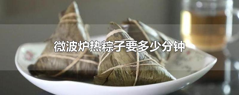 微波炉热粽子要多少分钟