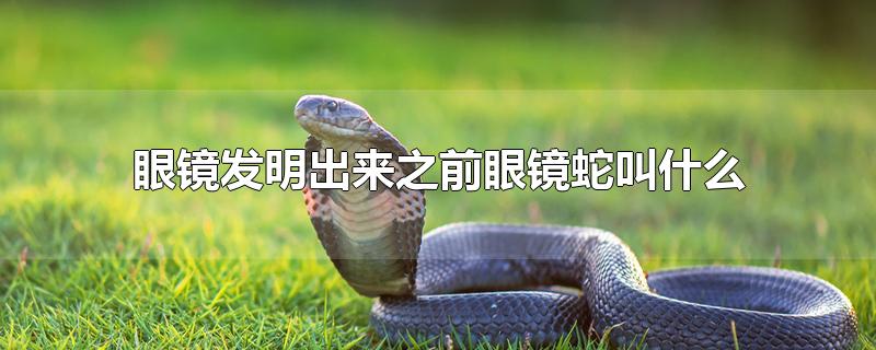 眼镜发明出来之前眼镜蛇叫什么