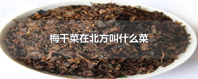 梅干菜在北方叫什么菜