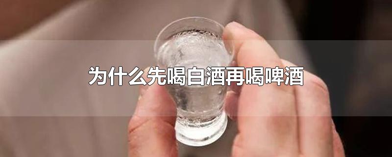 为什么先喝白酒再喝啤酒