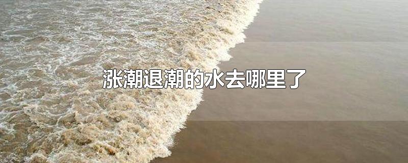 涨潮退潮的水去哪里了