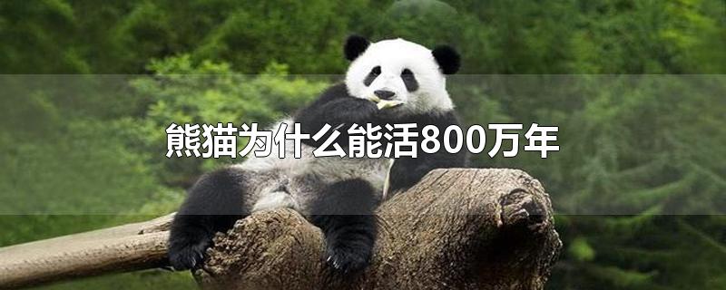 熊猫为什么能活800万年