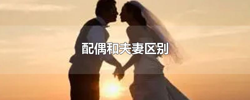 配偶和夫妻区别