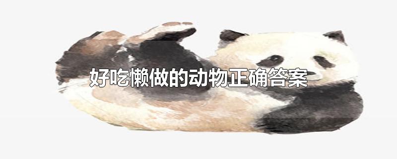 好吃懒做的动物正确答案