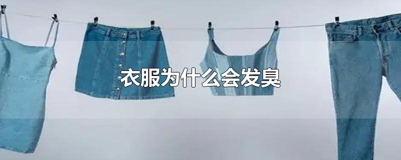 衣服为什么会发臭