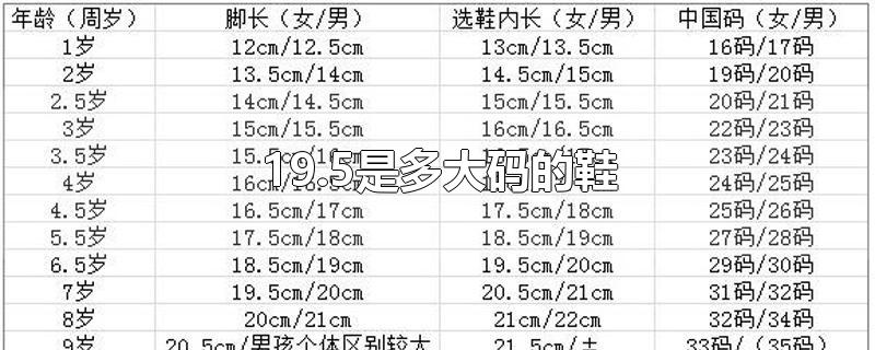 19.5是多大码的鞋