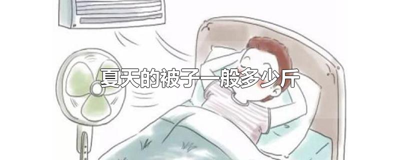 夏天的被子一般多少斤