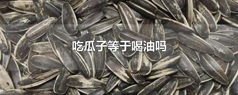 吃瓜子等于喝油吗