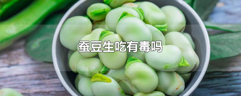 蚕豆生吃有毒吗