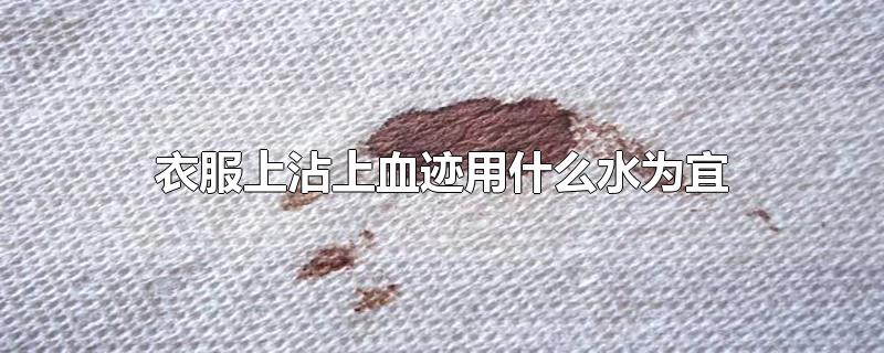 衣服上沾上血迹用什么水为宜