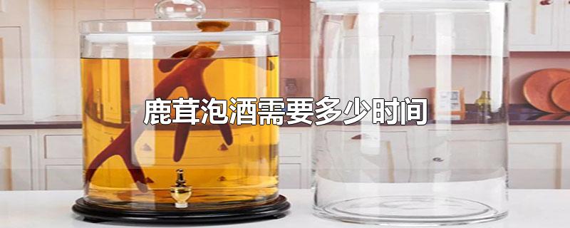 鹿茸泡酒需要多少时间