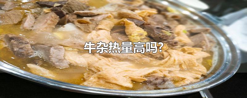 牛杂热量高吗?