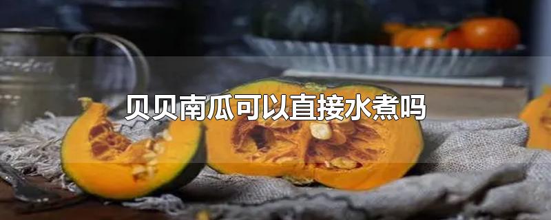 贝贝南瓜可以直接水煮吗