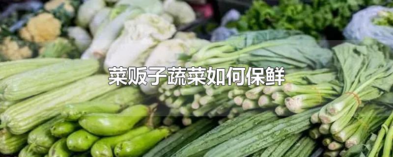 菜贩子蔬菜如何保鲜