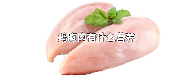 鸡胸肉有什么营养