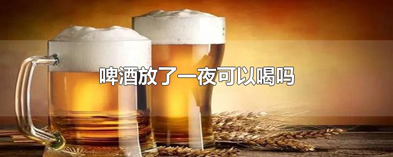 啤酒放了一夜可以喝吗