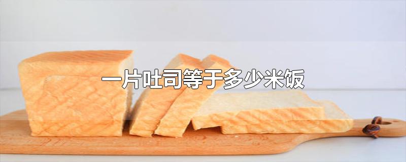 一片吐司等于多少米饭