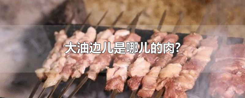 大油边儿是哪儿的肉?