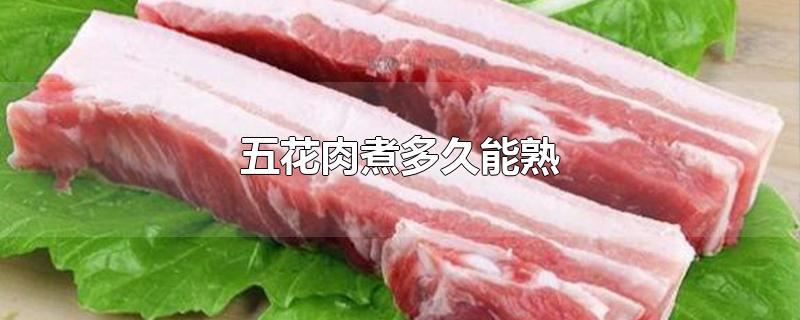 五花肉煮多久能熟