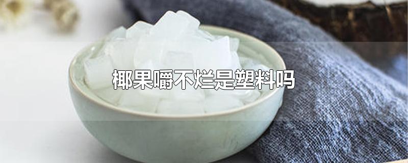 椰果嚼不烂是塑料吗