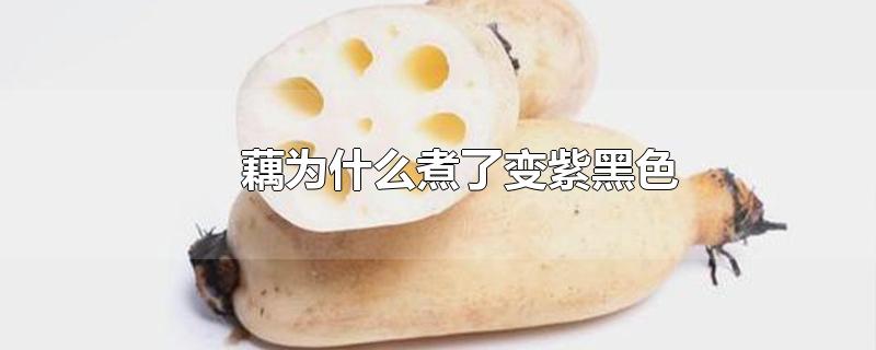 藕为什么煮了变紫黑色