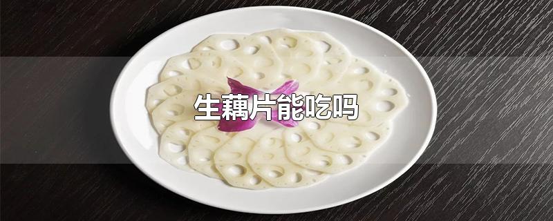 生藕片能吃吗