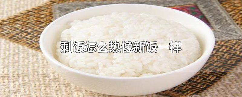 剩饭怎么热像新饭一样