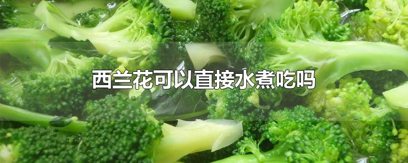 西兰花可以直接水煮吃吗