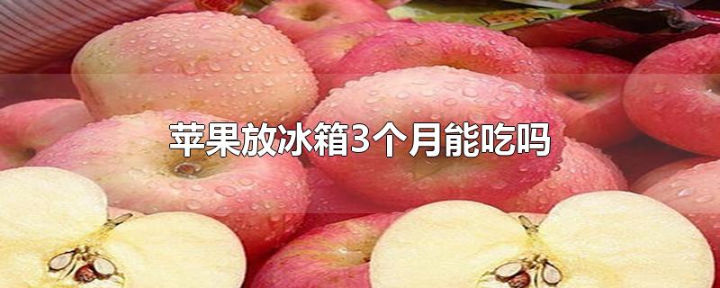 苹果放冰箱3个月能吃吗