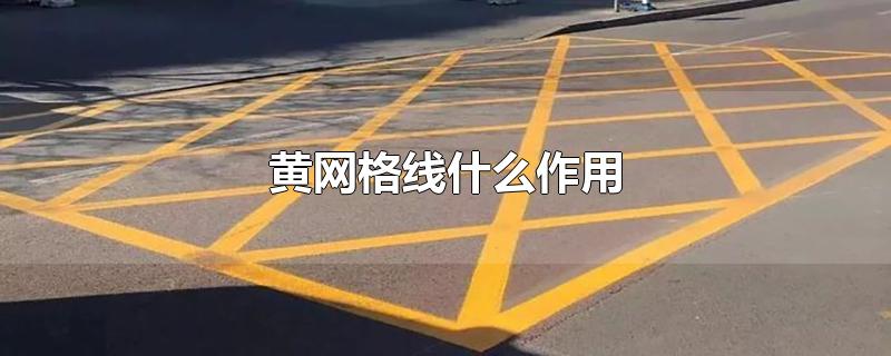 黄网格线什么作用