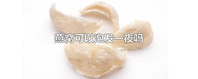 燕窝可以泡发一夜吗