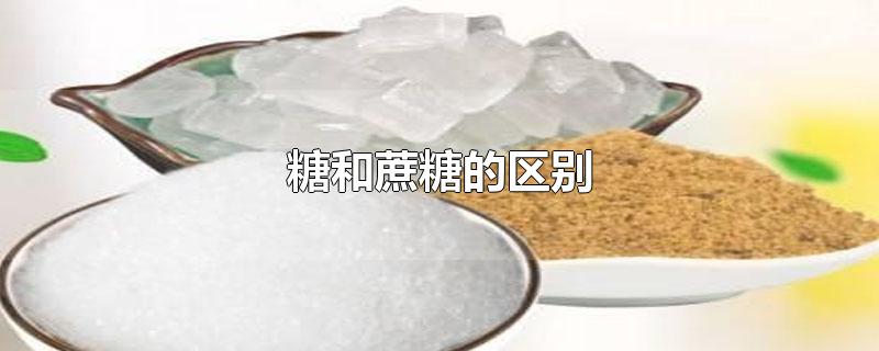 糖和蔗糖的区别