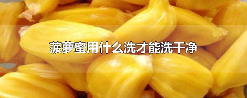 菠萝蜜用什么洗才能洗干净